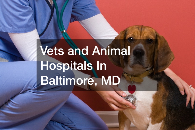 Vets and Animal Hospitals In Baltimore, MD
