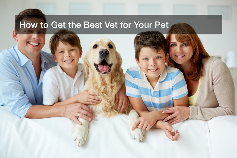 How to Get the Best Vet for Your Pet