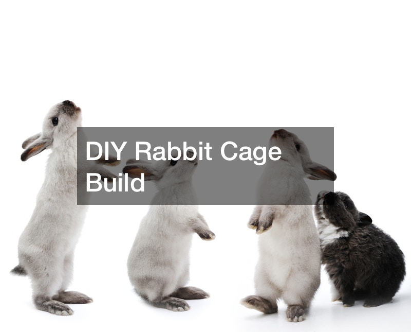 DIY Rabbit Cage Build