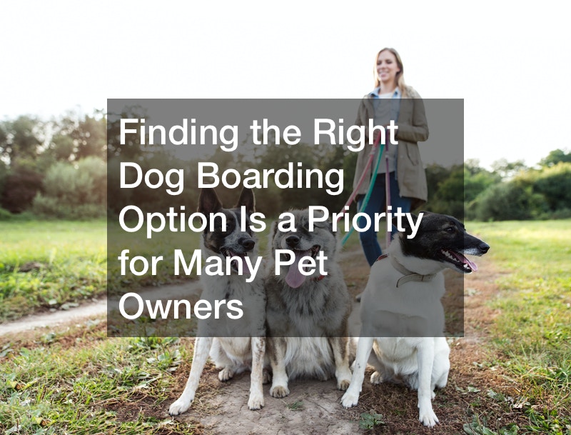 Finding the Right Dog Boarding Option Is a Priority for Many Pet Owners