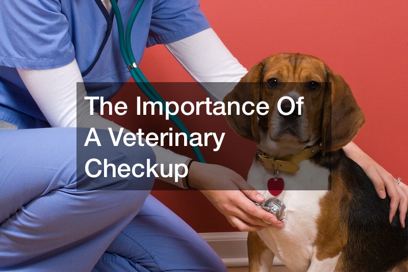 The Importance Of A Veterinary Checkup