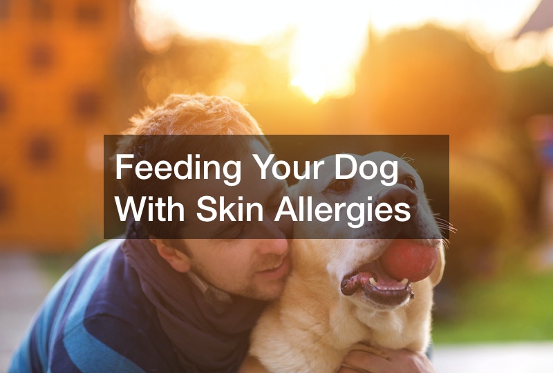 Feeding Your Dog With Skin Allergies