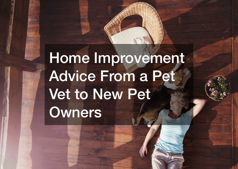 Home Improvement Advice From a Pet Vet to New Pet Owners