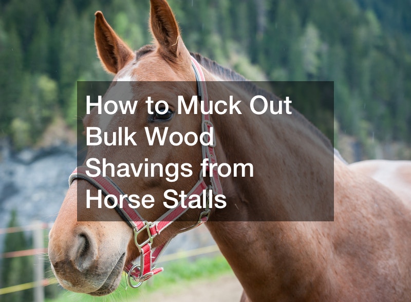 How to Muck Out Bulk Wood Shavings from Horse Stalls