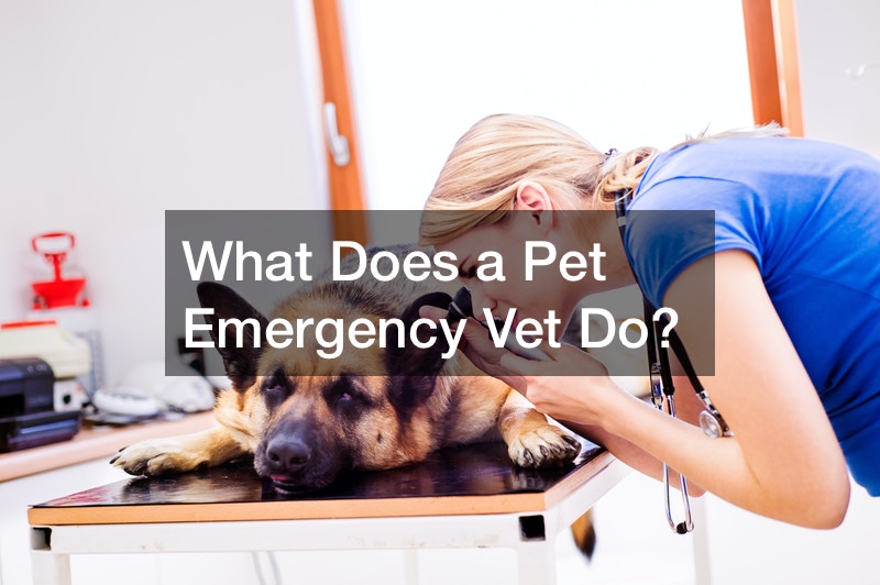 What Does a Pet Emergency Vet Do?