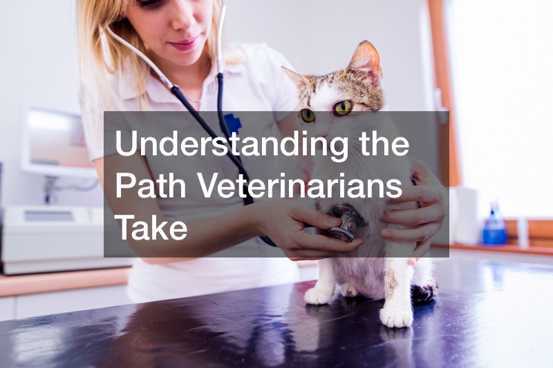 Understanding the Path Veterinarians Take