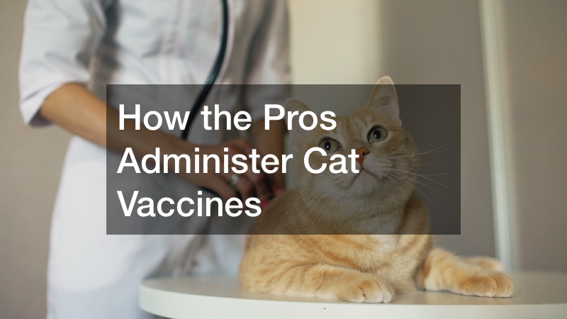 How the Pros Administer Cat Vaccines