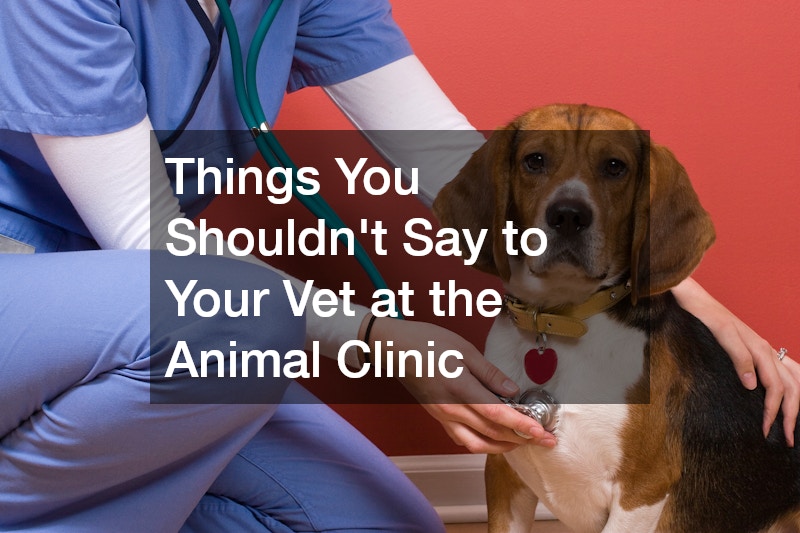 Things You Shouldnt Say to Your Vet at the Animal Clinic